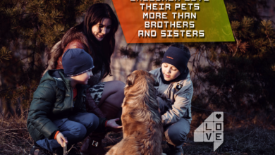 Photo of Children love their pets more than brothers and sisters