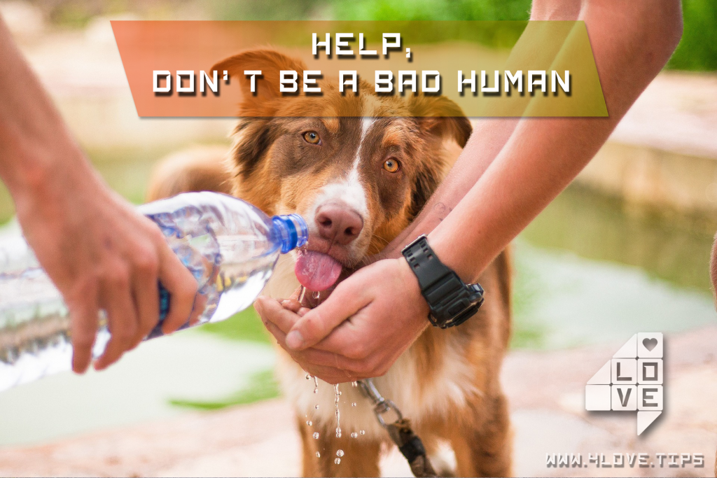 4LoveTips-Human